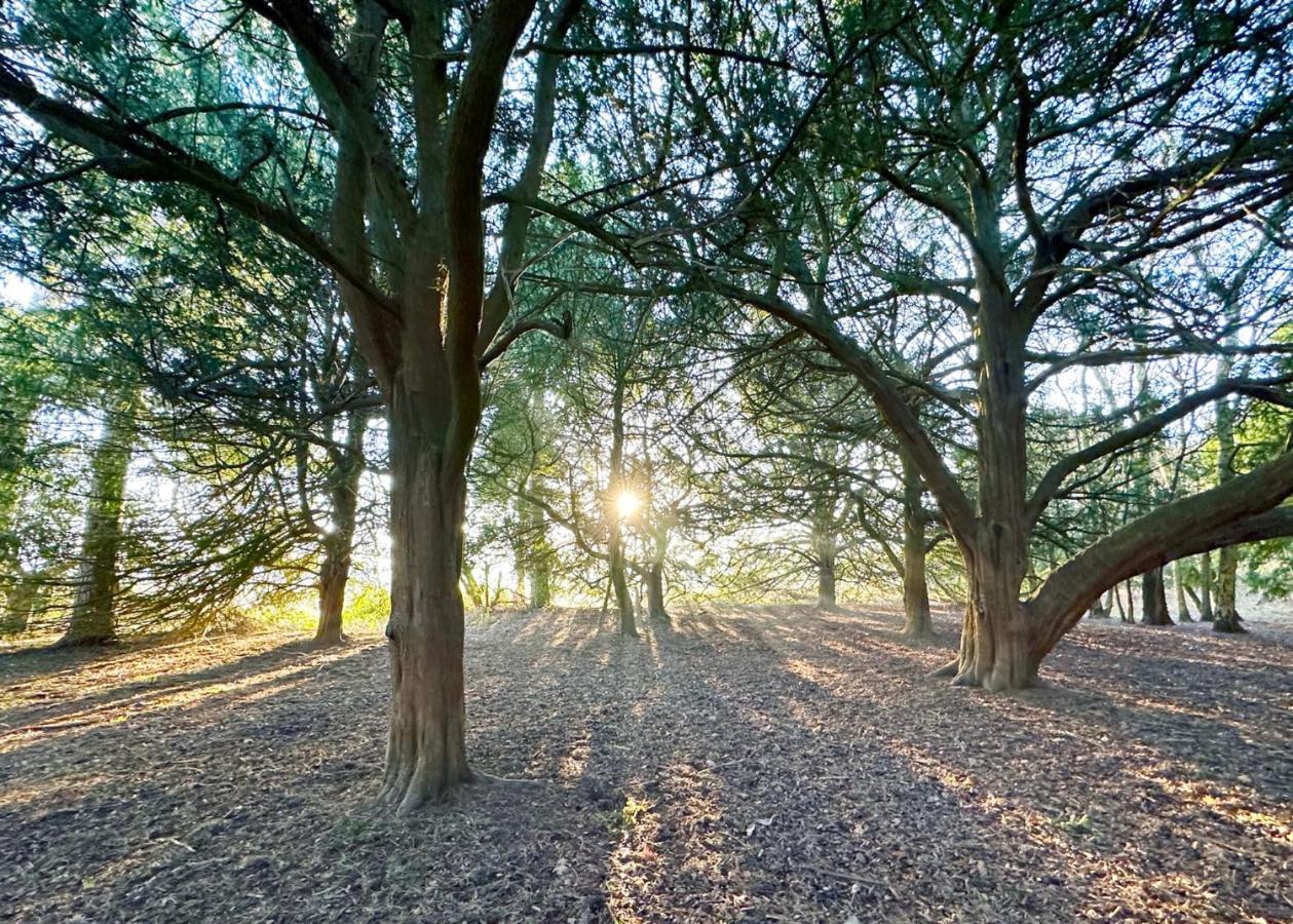 ホテルSherwood Castle Holiday Forest エドウィンストー エクステリア 写真